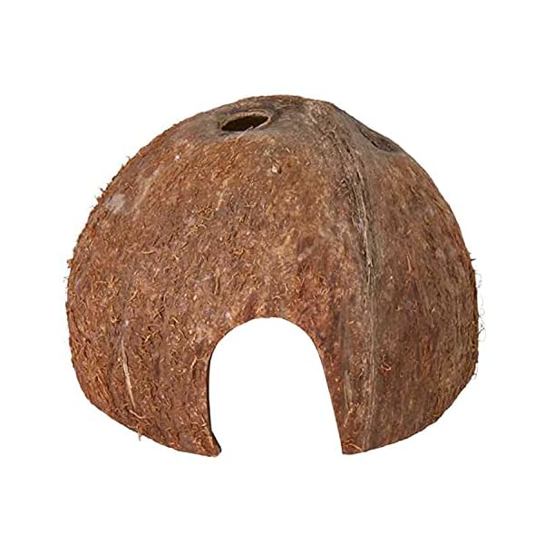 Trixie-Three-Coconut-Hideaway-Home-10-x-12-x-8-cm-Pack-of-3 Trixie Three Coconut Hideaway Home, 10 x 12 x 8 cm, Pack of 3