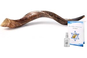 Yemenite Kudu Horn Shofar Shofars with Free Anti Odor Spray, guide Shofar from Israel (26"-28", Natural)