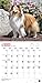 Shetland Sheepdogs 2015 Square 12x12