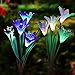 Solar Garden Decorations Outdoor - 2 Pack Erhard Solar Powered Garden Stake Lights with 8 Lily Flower, Multi-Color Changing LED Solar Stake Lights for Garden,Patio,Backyard(Purple and White)