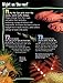 100 Facts Coral Reef