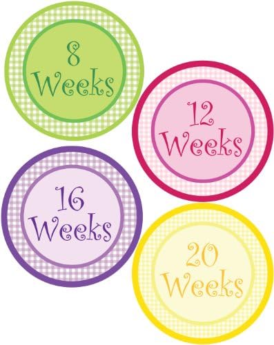Gingham Flowers Pregnancy Bump Stickers - Waterproof and Durable - Includes 8-40 Weeks Stickers