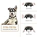 Bark Collar-2018 Upgrade-7 Adjustable Sensitivity and Rechargeable, No Harm Shock Dog Bark Collar with Vibration and No Harm Shock for Most of the Dogs-Practical Gifts
