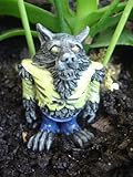 Fiddlehead Fairy Garden 