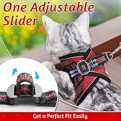 rabbitgoo Cat Harness and Leash Set for Walking