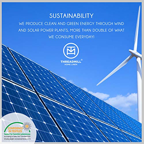 Threadmill Cotton Queen Sheet Set 100 Cotton Sheets for Queen Size