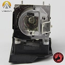 20-01501-20 Replacement Projector lamp with Housing