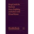 Drug Cartels Do Not Exist: Narcotrafficking in US and Mexican Culture (Critical Mexican Studies)