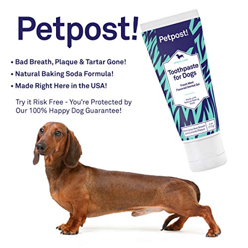 Petpost Toothpaste for Dogs Coconut Oil and Baking Soda Based