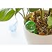 Alotm 10Pcs Plant Watering Bulbs, Automatic Self-Watering Globes Plastic Balls Garden Water Device Watering Bulbs for Plant (Small, Clear)thumb 4