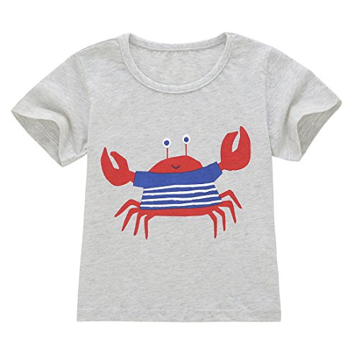 Neeseelily Baby Boys Summer Sleeve Short T-Shirts and Stripe Shorts 2pcs Shorts Set Outfit (3T, Red)