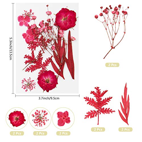 Real Dried Pressed Flowers and Leaves - 73pcs Mixed Multiple Dry Flower and Leaf with Tweezer for DIY Candel Resin Jewelry Nail Pendant Crafts Art Floral Decoration