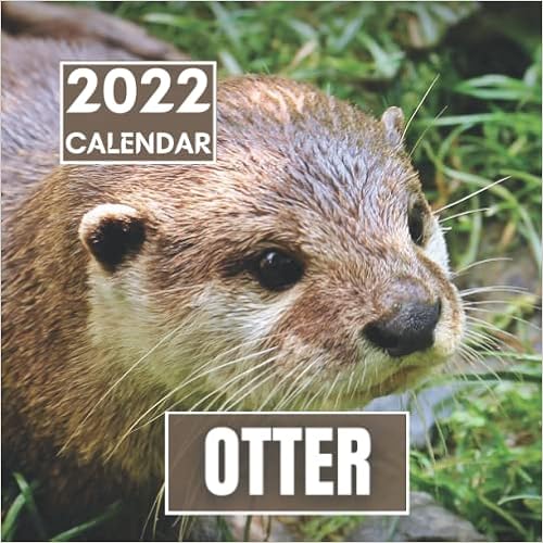 Otter Calendar 2022 Otter Calendar 2022: Beautiful Photos Of Otter Perfect For Adults Teens And  Children | Great Gift Idea For Animal And Mink Lovers: Publishing,  Stundcalend: 9798498861029: Amazon.com: Books