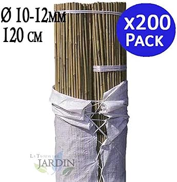 TUTOR DE BAMBU 120 cm, diámetro 10-12 mm. Uso agrícola para ...