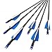 YONNEY Fiberglass Arrows 30-Inch Glass Fiber Arrows for Practice Hunting Outdoor (Pack of 12) for Traditional Recurve Bow ＆ Composite Bow Hunting Bow - Blue