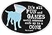 Dog is Good Oval Car Magnet It's All Fun and Games Until Someone Ends up in a Cone - Great Gift for Dog Lovers, 4x6 Inches