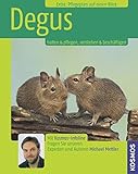 Degus