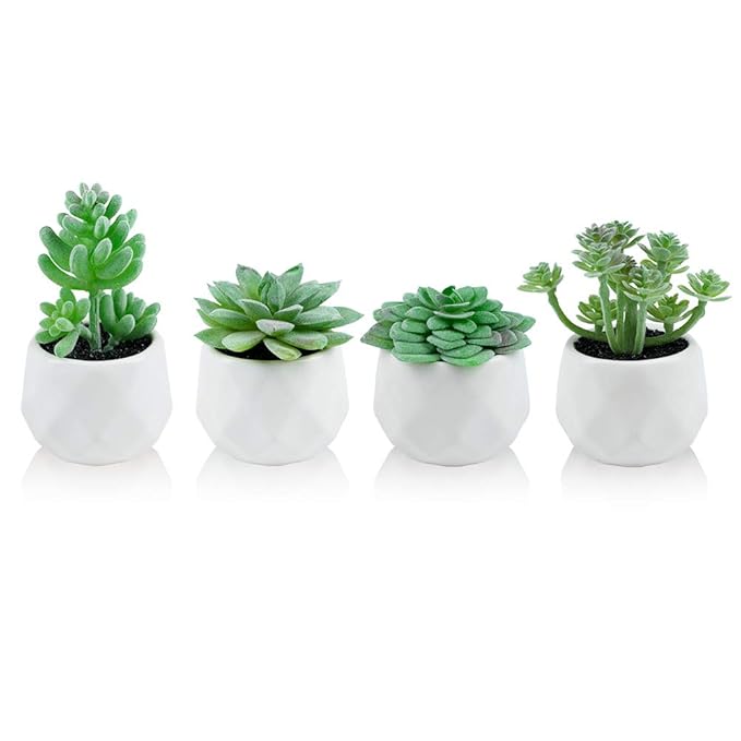 Dream Allison Artificial Plants Desk Fake Succulents Indoor Decor