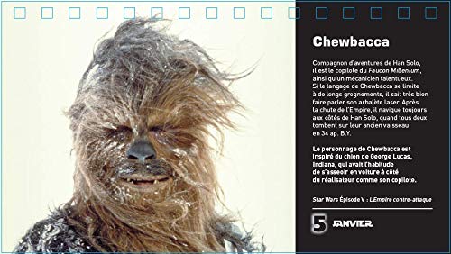 Star Wars - Calendrier 365 jours (P.BAC 365 CHEV.) (French Edition 