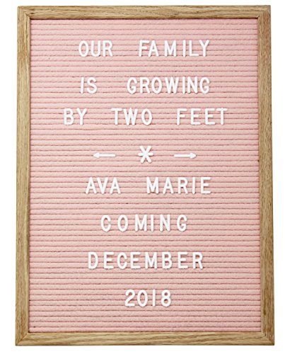 12 x 16 Changeable Letter Board - Pink Felt With Solid Oak Frame, Wall Mount, Canvas Bag, and 290 Characters - by Executive Office Solutions