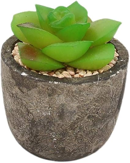 Amazon Skareop 人工多肉植物 ミニ 人工観葉植物 枯れない インテリア おしゃれ 可愛い インテリア飾り 部屋雑貨 装飾 お世話のいらない 枯れない Style2 Skareop 人工観葉植物