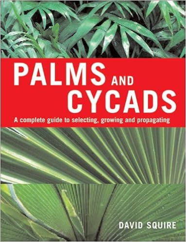 Palms And Cycads A Complete Guide To Selecting Growing And Propagating Squire David 9781883052560 Amazon Com Books