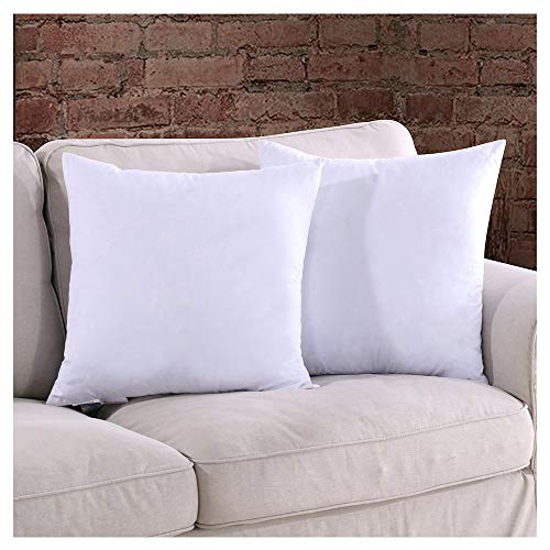 Homelike Moment 20x20 Feather Down Pillow Insert Square Couch Throw