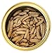 Canned Wax Worms 35 g/ 1.2 oz (6 Pack)