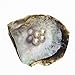 5 PC Akoya seawater Cultured Pearl Oyster Round Pearls with White/Pink/black, Birthday Gifts(7-8mm)