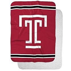 Temple University Owls Primary Logo Stripes Sherpa