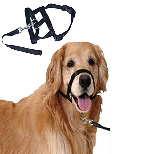 Pet Dog Nylon Adjustable Loop Bite Bark Control Easy Quick Fit Dog