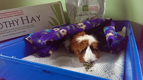 Small Pet Select Guinea Pig Food Pellets, 10-Pound