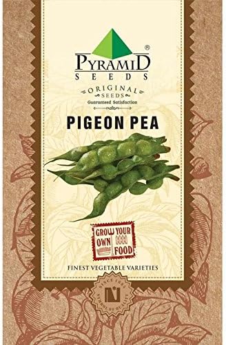 Pyramid Seeds Pigeon Pea - 250g