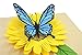 PopLife® Blue Butterfly and Sunflower Pop Up Mother's Day Card - 3D Anniversary, Valentine's Day Card, Thank You, Happy Birthday - for Mom, for Wife, for Daughter, for Sister