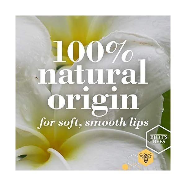 Burts-Bees-Natural-Moisturising-Lip-Balm-Duo-Value-Pack Burt's Bees Lip Balm Multipack, Chapstick Lip Balms With Beeswax And Vitamin E, Duo Value Pack, 2x4.25g