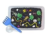 Rainforest Exploration Reptile Discovery Box and Sensory Bin for Kids and Preschoolers - Revelae Kids