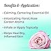 Plant Therapy Bulgarian Rose Otto Organic Diluted Essential Oil | 100% Pure, USDA Certified Organic, Natural Aromatherapy, Therapeutic Grade | 5 milliliter (1/6 ounce)