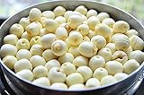 Selected 100 Grams of Natural Raw White Lotus Seed Fill Gas Resting to Restore Energy Spleen and Stomach