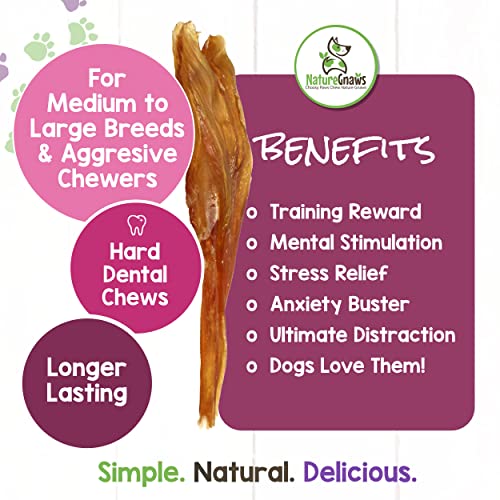 Nature Gnaws Tendons for Large Dogs Premium Natural Beef Dental