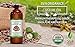 SVA Organics Castor Oil Organic 16 Ounce USDA 100 percent Pure Natural Cold Pressed Carrier Oil for Eyelashes, Eyebrows Growth, Hair and Skin Care, Soap Making