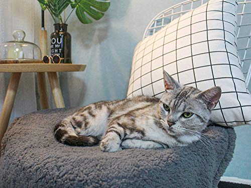 3 furrybaby+Premium+Fluffy+Fleece+Blanket