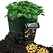 Amerzam 2-Pack 10 Gallon Grow Bags /Aeration Fabric Pots/Potato Planter Bags with Handles for Grow Vegetables: Potato, Carrot & Onion