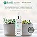 LAUDA BOTANICALS Vitamin C Facial Toner Spray, Hydrating Skin Balancing, Refreshing Pore Minimizer with Organic Witch Hazel, Aloe Vera, Anti Aging Antioxidants for Combination & Oily Skin, 4 Oz