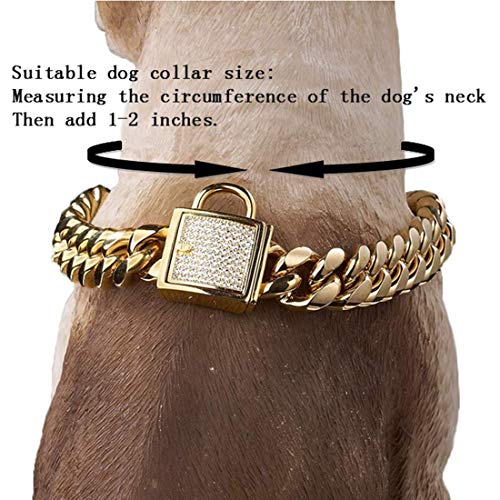 Aiyidi Dog Chain Collar Stainless Steel Gold Dog Chain Collar with