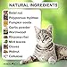HERBALPET 8in1 Health Supplements | Cat Dewormer Alternative | Advanced Formula | Works for Kittens, Small, Medium and Large Cats | 3 Tablets | One-time Treatment