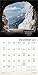 Bicycle Bliss 2019 Wall Calendar: Bike Adventures and Inspiration
