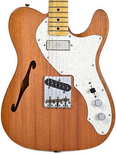 Fender Custom Shop 1969 Telecaster Thinline HS Mahogany Journeyman Relic MN Natural