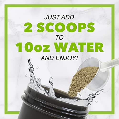 Chike Mocha High Protein Iced Coffee, 20 G Protein, 2 Shots Espresso, 1 G Sugar, Keto Friendly