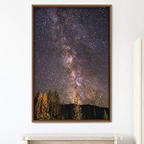 signwin Framed Canvas Starry Night Astronomy & Space...