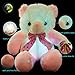 WEWILL Light up Teddy Bear Stuffed Animals Glow Colorful Soft Plush Toy, Nice Gift for Christmas, 20-Inch (Pink&White)